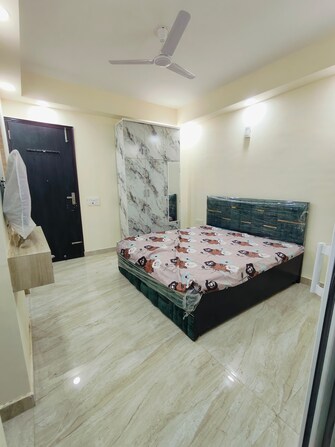 1 RK Builder Floor For Rent in Ansal Sushant Lok I Sector 43 Gurgaon  8108493