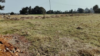 Commercial Land 4950 Sq.Ft. For Resale in Katara Hills Bhopal  8108636