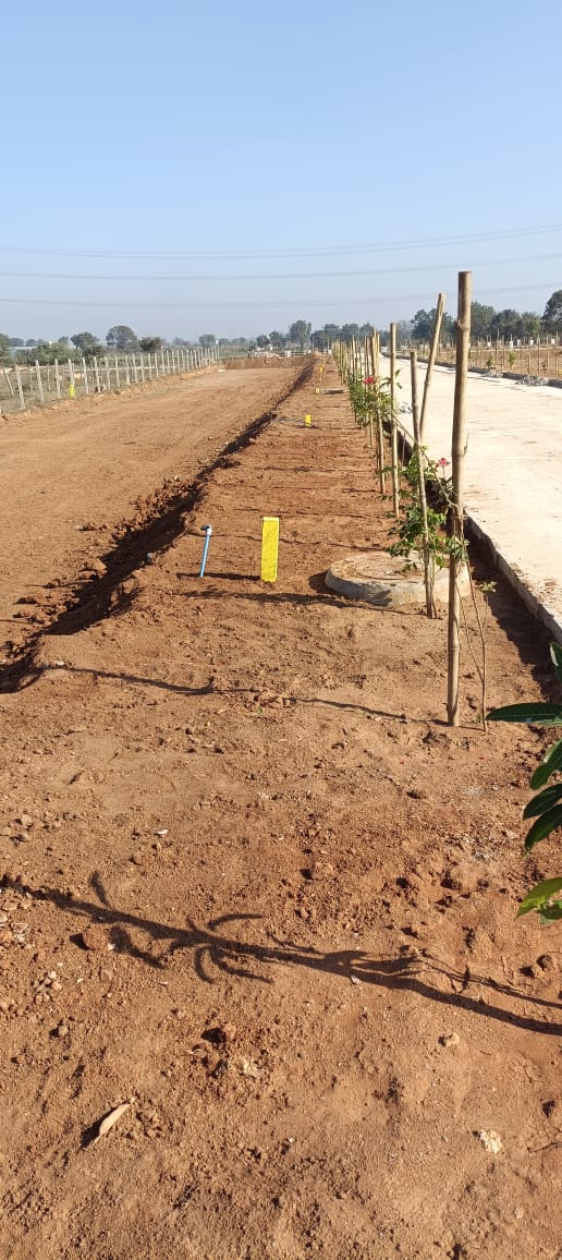 Plot For Sale in Golden Gate Golden County