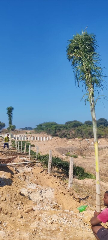 Plot Area in  Plot at Golden Gate Golden County, Tellapur – for Sale