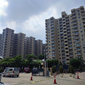 3.5 BHK Apartment For Rent in Ardee City Palm Grove Heights Sector 52 Gurgaon  8109001