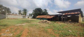 Commercial Land 600 Sq.Ft. For Rent in Chikka Mandya Mandya  8109040