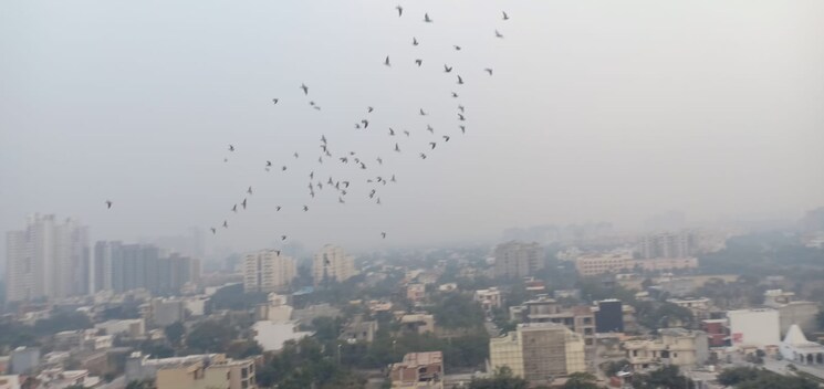 Master Bedroom, sds-nri-residency-omega-ii 3 Bedroom 1360 Sq.Ft. Apartment In Omega Ii Greater Noida Greater Noida 8109402