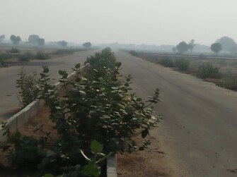 Plot For Resale in Rohini Delhi  8109651