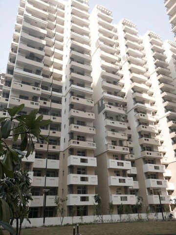 3 BHK Apartment For Rent in Galaxy Royale Gaur City 2  Greater Noida  8091704