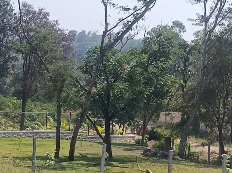 Garden, subramanyapura  1306 Sq.Ft. Plot In Subramanyapura Bangalore 8109707