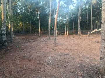 Plot For Resale in Kazhakkoottam Thiruvananthapuram  8110056