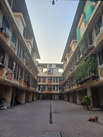 1 BHK Apartment For Rent in Koyna CHS Ghansoli, Ghansoli
