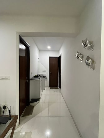 2 BHK Apartment For Rent in Prestige Ferns Residency Harlur Bangalore  8110666