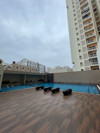 2 BHK Apartment For Rent in Salarpuria Sattva Signet Kasavanahalli Bangalore  8108036