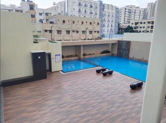 2 BHK Apartment For Rent in Salarpuria Sattva Signet Kasavanahalli Bangalore  8108036