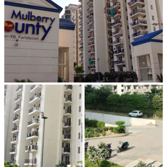 2 BHK Apartment For Resale in MGH Mulberry County Sector 70 Faridabad  8110974