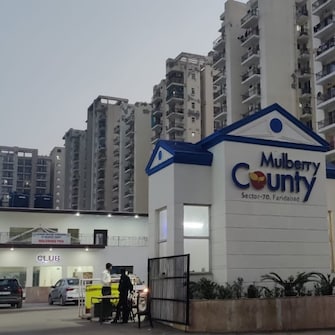 2 BHK Apartment For Resale in MGH Mulberry County Sector 70 Faridabad  8110974