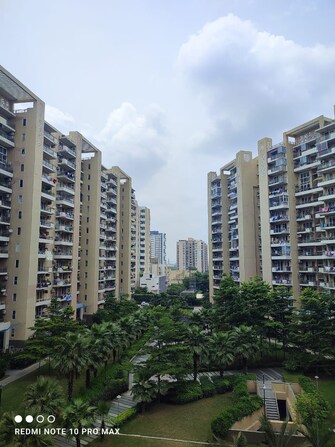 3 BHK Apartment For Rent in Tulip Violet Sector 69 Gurgaon  8111045