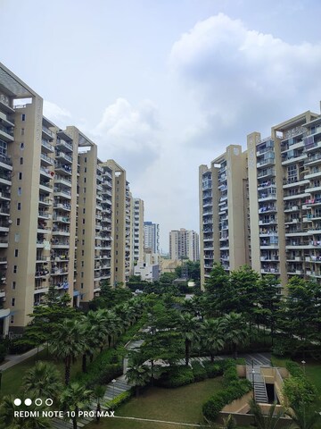 3 BHK Apartment For Rent in Tulip Violet, Sector 69