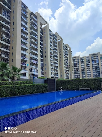 3 BHK Apartment For Rent in Tulip Violet Sector 69 Gurgaon  8111050