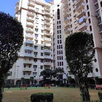 3 BHK Apartment For Rent in DLF The Carlton Estate Dlf Phase V Gurgaon  8111085