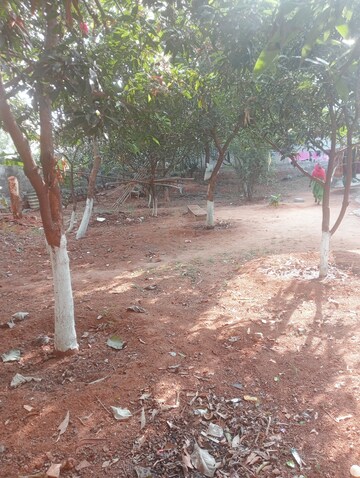 Plot Area in  Plot at Nagaram – for Sale