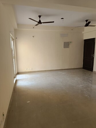 2 BHK Apartment For Rent in Aims Golf City Sector 75 Noida  8111154