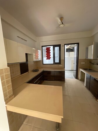 3 BHK Independent House For Rent in RWA Apartments Sector 30 Sector 30 Noida  8111256