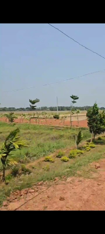 Plot Area in  Plot at Kukunoorpally – for Sale