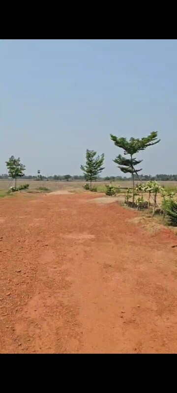 Plot Area in  Plot at Kukunoorpally – for Sale