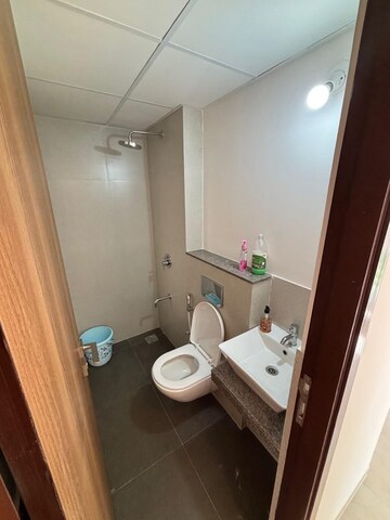 Bathroom in 2 BHK Apartment at Piramal Vaikunth Vyan, Balkum Pada – for Rent