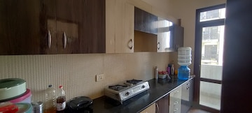 2 BHK Apartment For Rent in Signature Global The Millennia Sector 37d Gurgaon  8111723