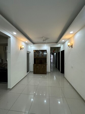 3.5 BHK Apartment For Rent in Strategic Royal Court Sector 16 Greater Noida Greater Noida  8111886