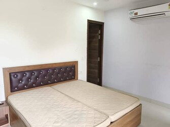 1 BHK Apartment For Rent in Suncity Gloria Apartments Sarjapur Road Bangalore  8111831