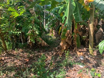  Plot – Garden View at Kariyam - for Sale