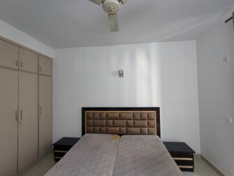 3.5 BHK Apartment For Rent in Omaxe Grand Sector 93b Noida  8111901