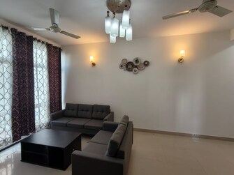 3.5 BHK Apartment For Rent in Omaxe Grand Sector 93b Noida  8111901