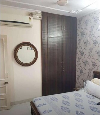 3 BHK Builder Floor For Rent in Sector 41 Chandigarh  8111906