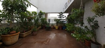 3 BHK Penthouse For Rent in INDIS PBEL City Peeranchuruvu Hyderabad  8108320