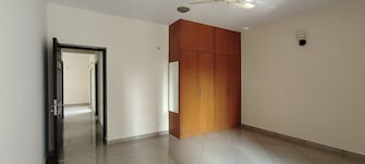 3 BHK Apartment For Rent in Sobha Chrysanthemum Thanisandra Bangalore  8112117