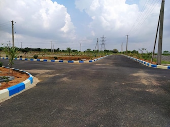 Plot For Resale in TMR Terrain One Shadnagar Hyderabad  8112122