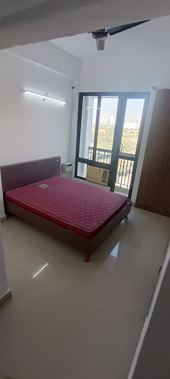 1 RK Apartment For Rent in Imperia H2o Residency Knowledge Park V Greater Noida Greater Noida  8112203