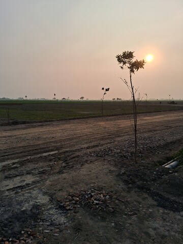  Plot – Exterior View View at Jewar - for Sale