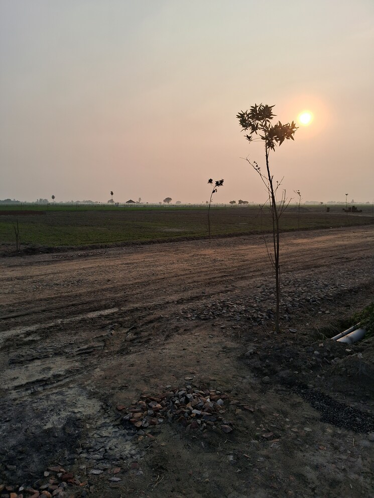 Exterior View, jewar  535 Sq.Yd. Plot In Jewar Greater Noida 8112324