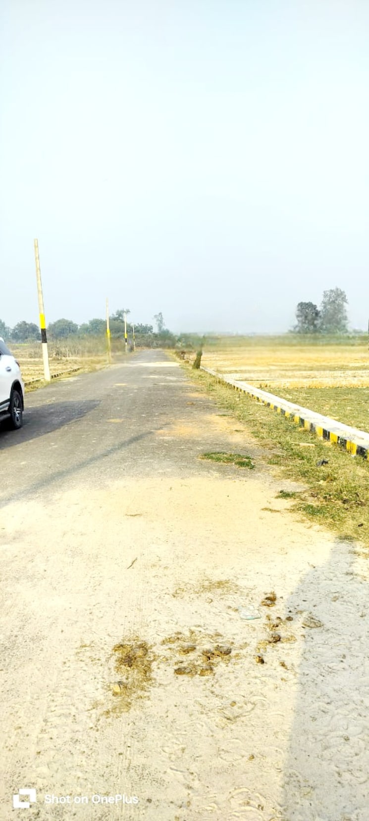 undefined, wazirganj  1000 Sq.Ft. Plot In Wazirganj Lucknow 8112421