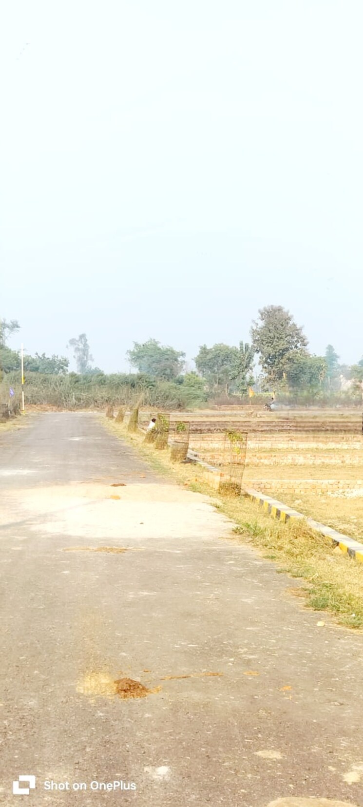 undefined, wazirganj  1000 Sq.Ft. Plot In Wazirganj Lucknow 8112421