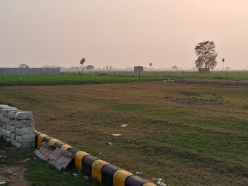 Plot For Resale in Sector 29 Yamuna Expressway Greater Noida  8112501