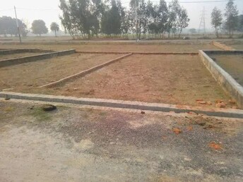 Plot For Resale in Sikandrabad Bulandshahr  8112931