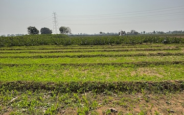 Industrial Plot For Sale in Mansa