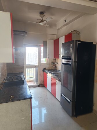 2 BHK Apartment For Rent in Gardenia Golf City Sector 75 Noida  8113001