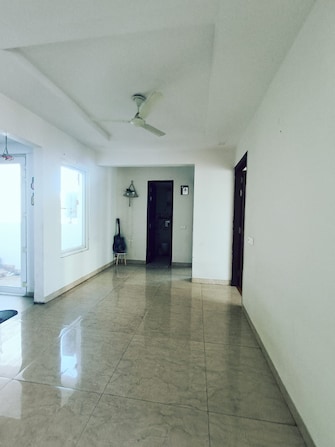 2 BHK Apartment For Rent in MI Rustle Court Gomti Nagar Lucknow  8113056