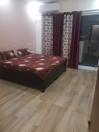 3 BHK Apartment For Rent in Shalimar Vista Gomti Nagar Lucknow  8113061