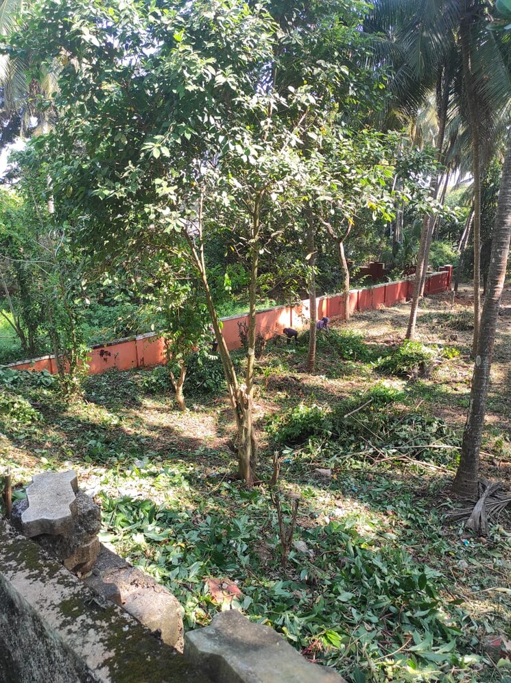 Garden, ferns-north-star  2600 Sq.Yd. Plot In Devanahalli Bangalore 8113112