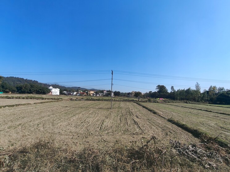 undefined, ramnagar  1000 Sq.Ft. Plot In Ramnagar Nainital 8113323